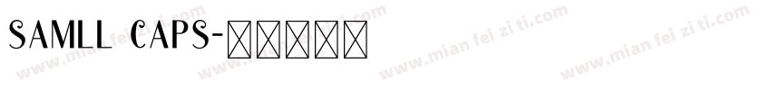 samll caps字体转换